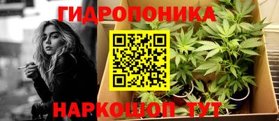 ГАЛЛЮЦИНОГЕННЫЕ ГРИБЫ Будённовск